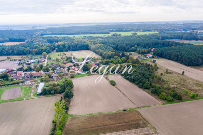 Działka Sprzedaż Giżyn