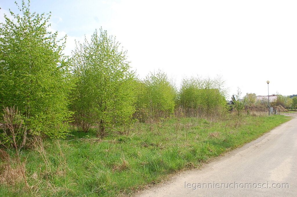 Działka, Kłodawa