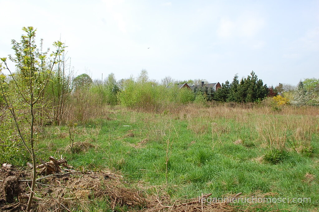 Działka, Kłodawa