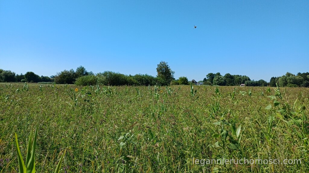 Działka, Włostów