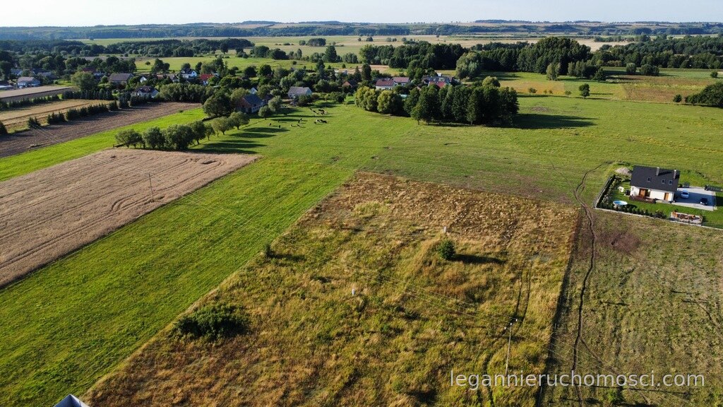 Działka, Borek