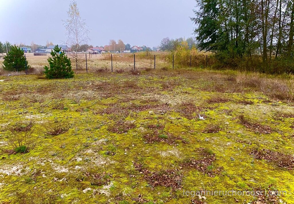 Działka, Karnin