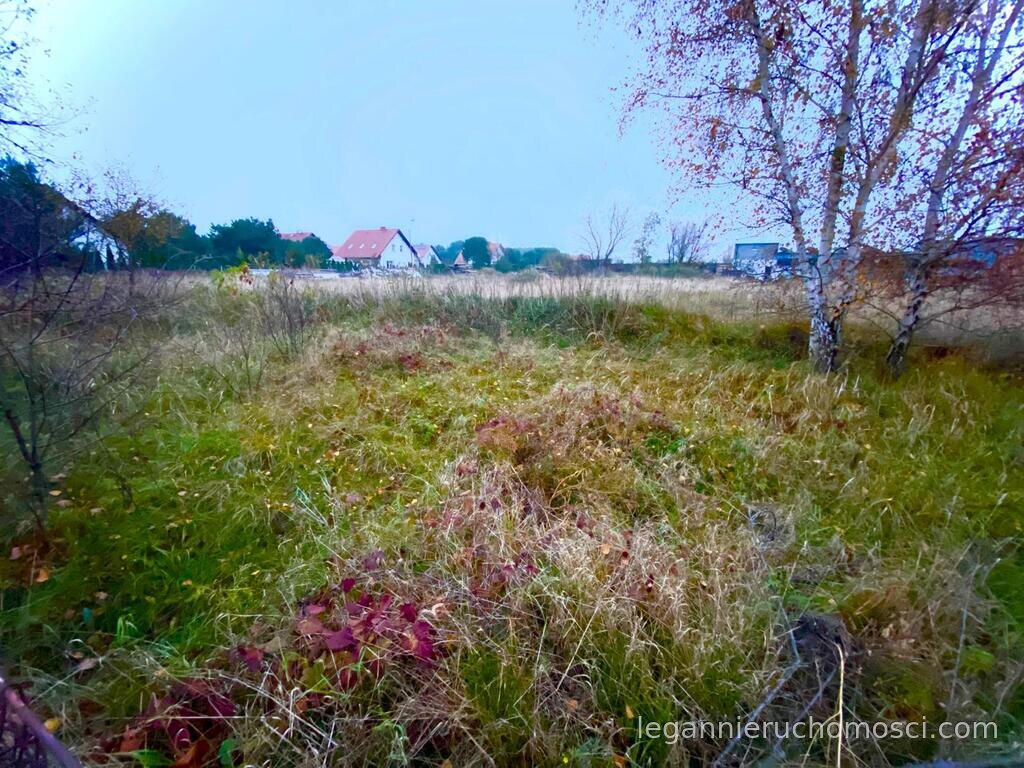 Działka, Karnin