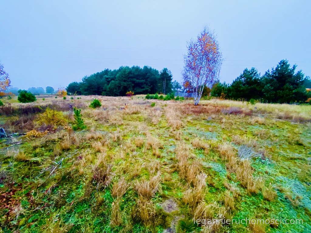 Działka, Karnin