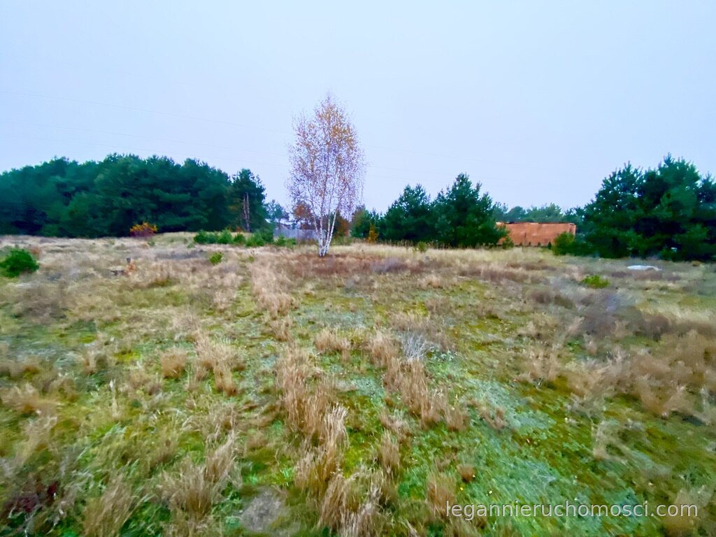 Działka, Karnin