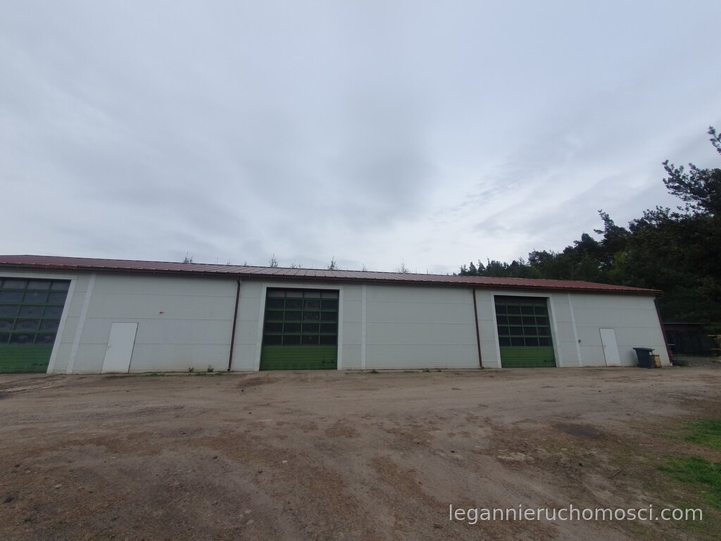 Obiekt komercyjny, 360,00 m², Trzebicz