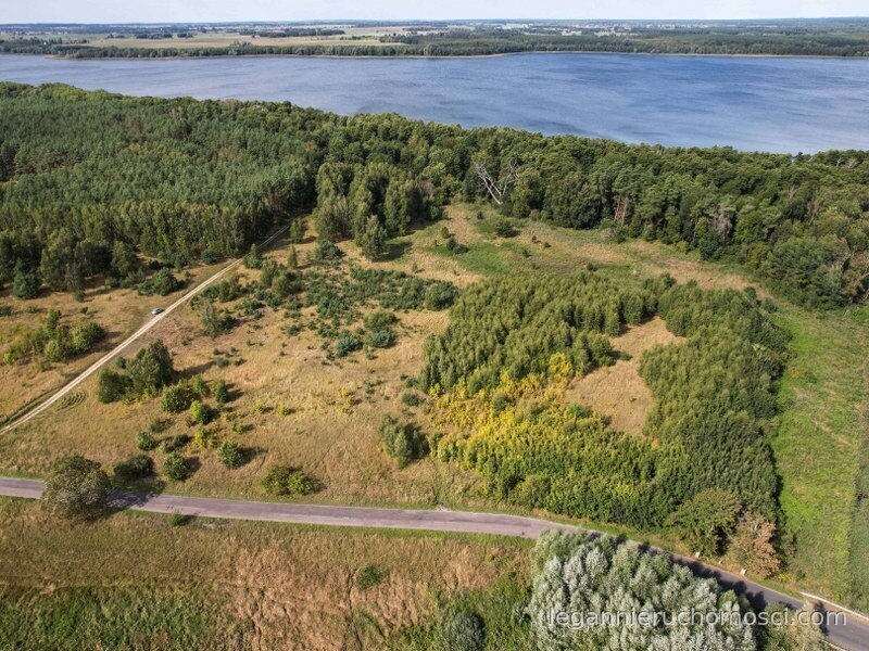 Działka, Dąbrowa