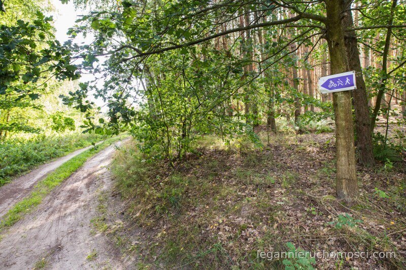 Działka, Dąbrowa