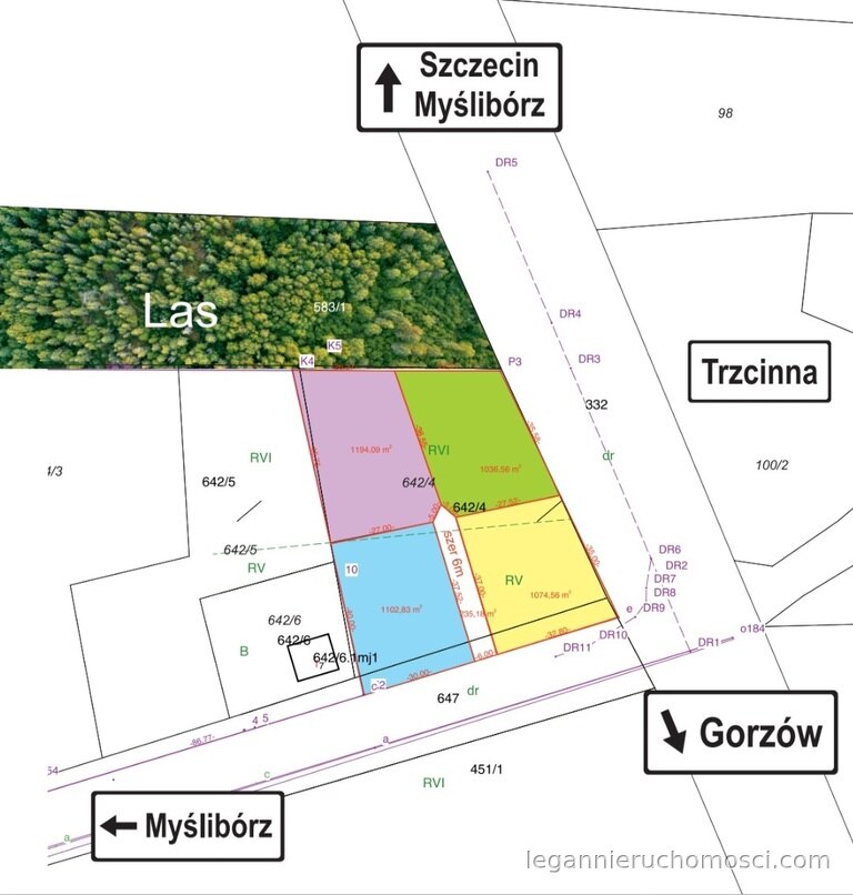 Działka, Trzcinna