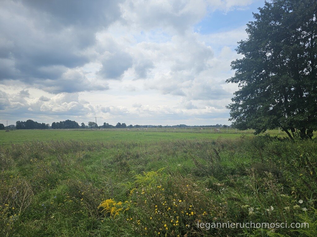 Działka, Prądocin
