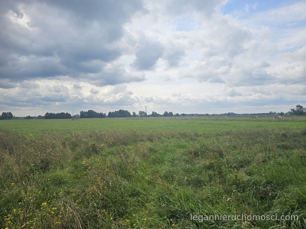 Działka, Prądocin