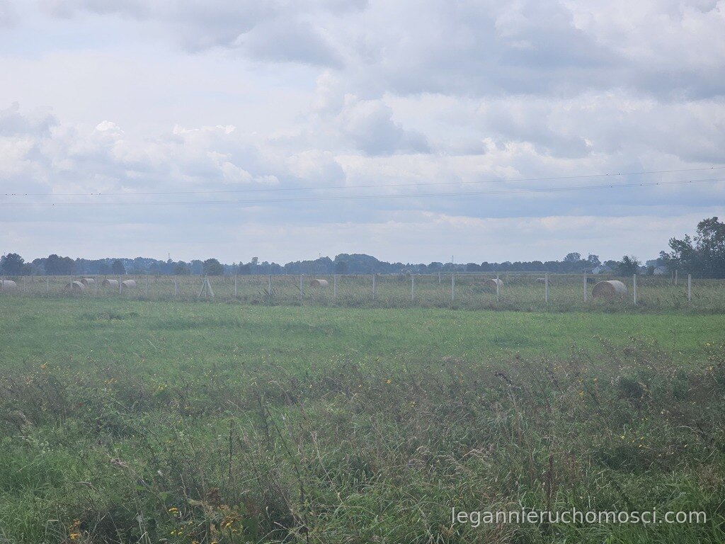 Działka, Prądocin