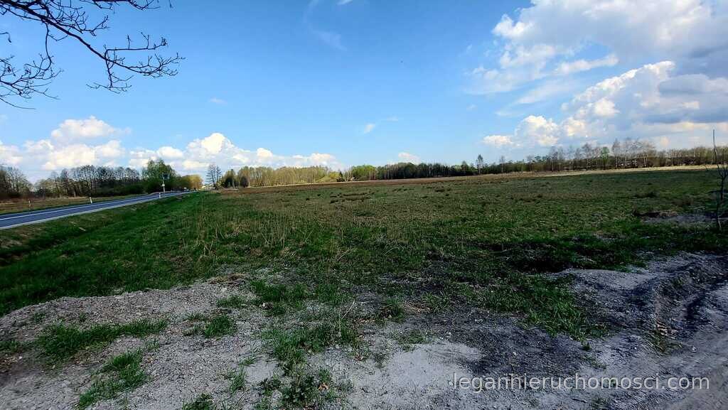 Działka, Rogi