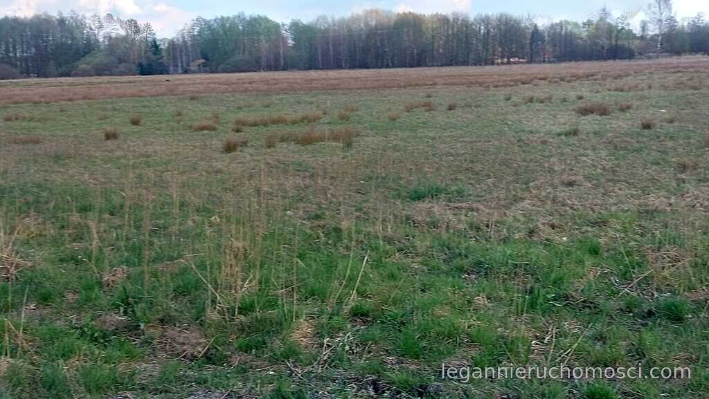 Działka, Rogi