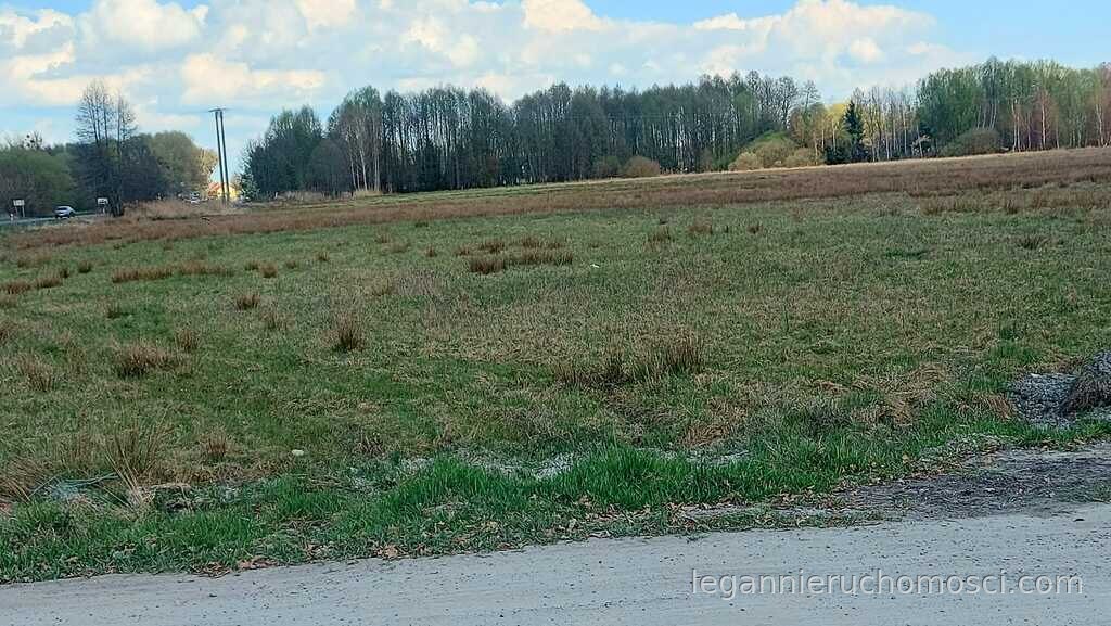 Działka, Rogi