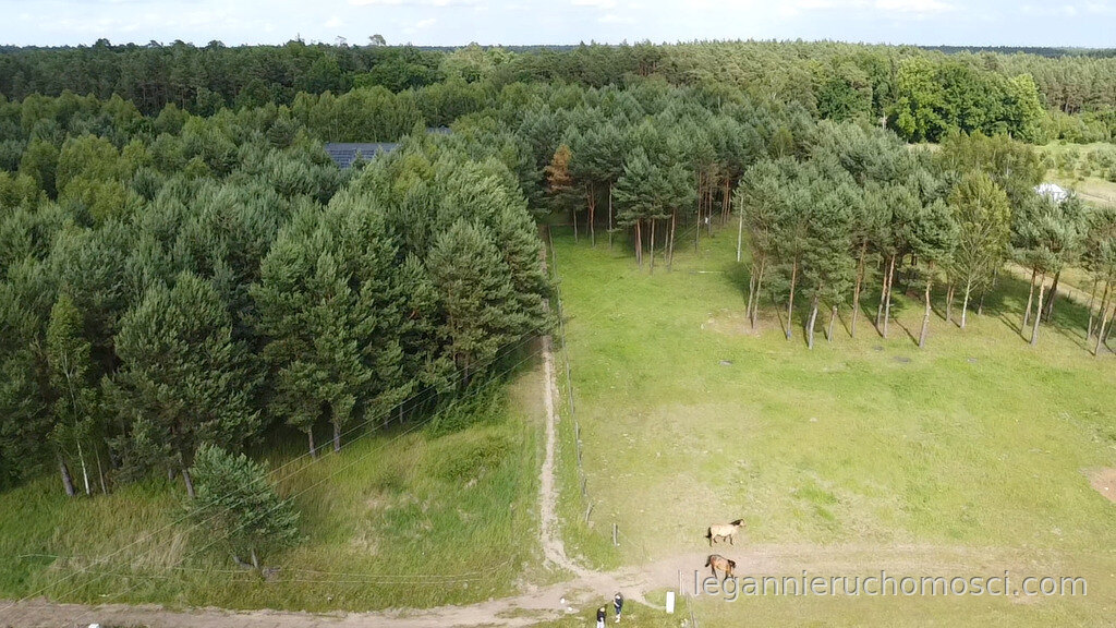 Działka, Danków