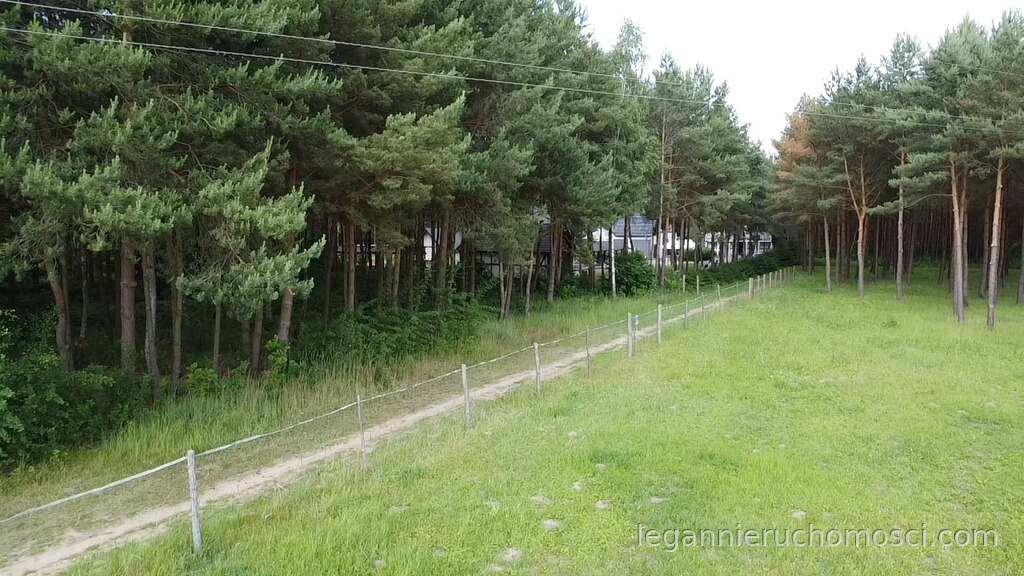 Działka, Danków