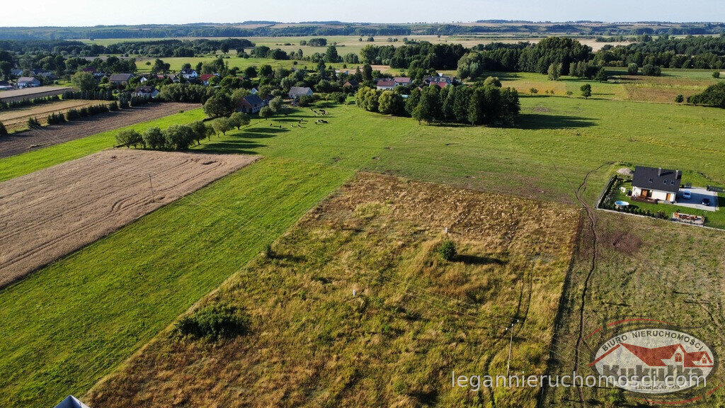 Działka, Borek