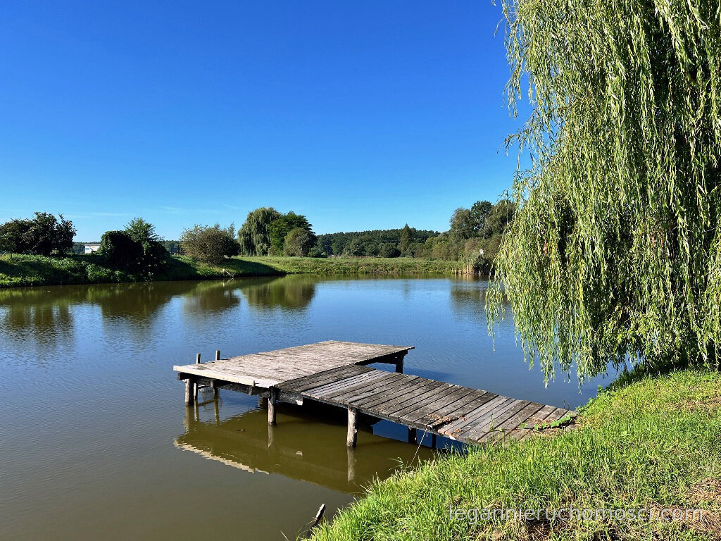 Dom, 5 pokoi, 118,44 m², Rzepinek
