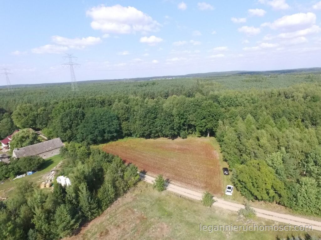Działka, Kozin