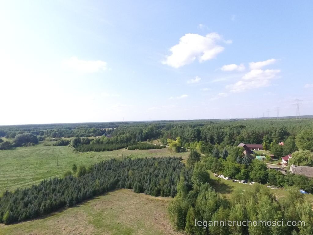 Działka, Kozin