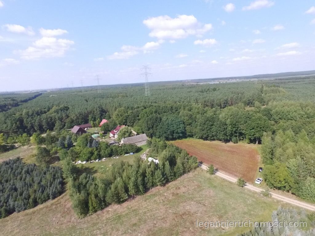 Działka, Kozin