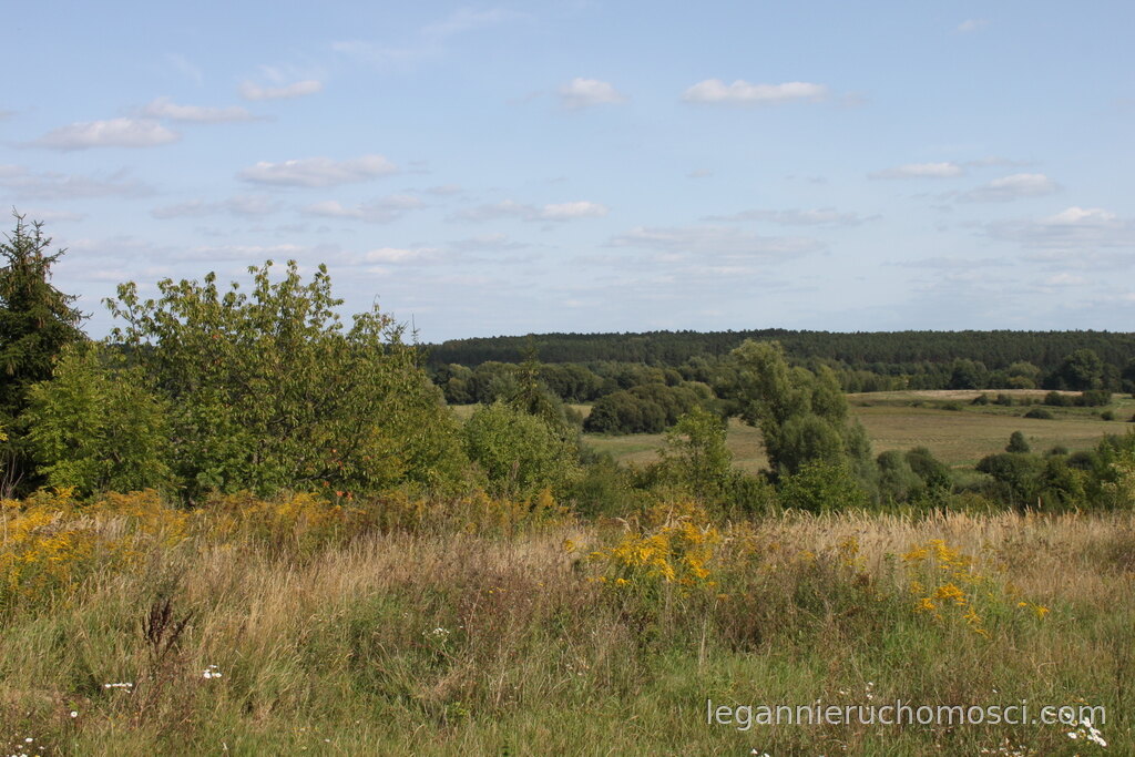 Działka, Chwalęcice