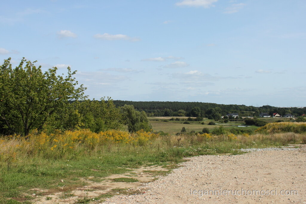 Działka, Chwalęcice