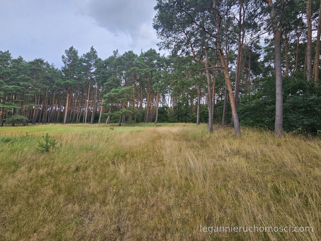 Działka, Murzynowo