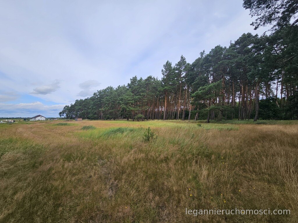 Działka, Murzynowo