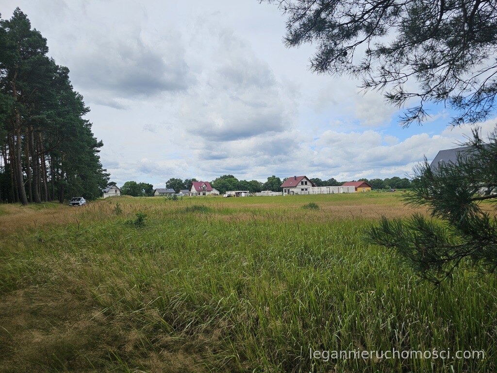 Działka, Murzynowo