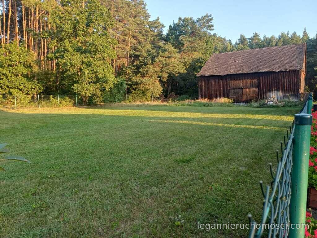 Działka, Kłodawa
