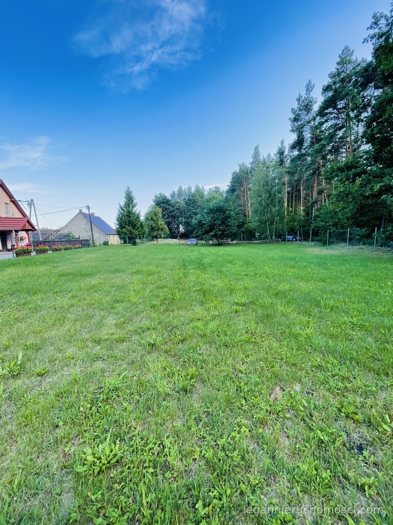 Działka, Kłodawa