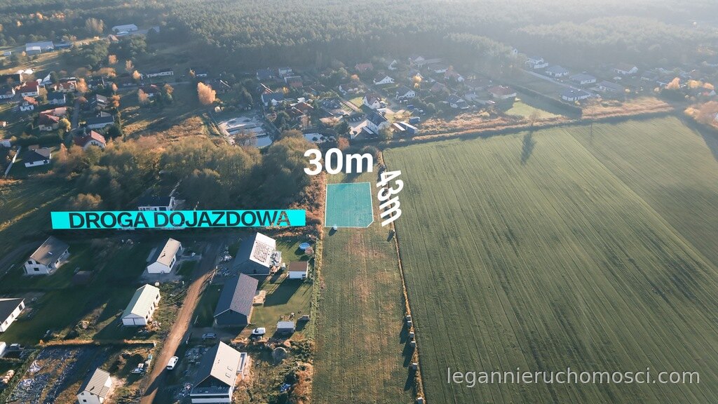 Działka, Gorzów Wielkopolski, Zieleniec