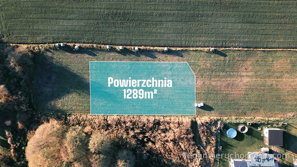 Działka, Gorzów Wielkopolski, Zieleniec