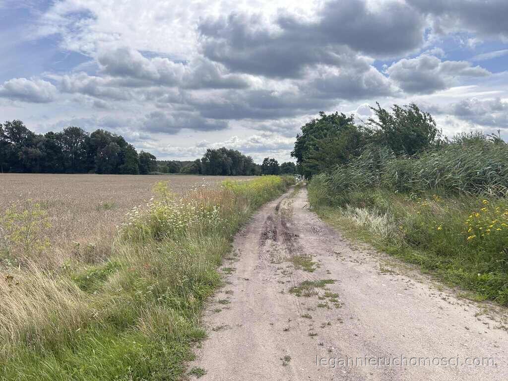 Działka, Gorzów Wielkopolski, Zieleniec