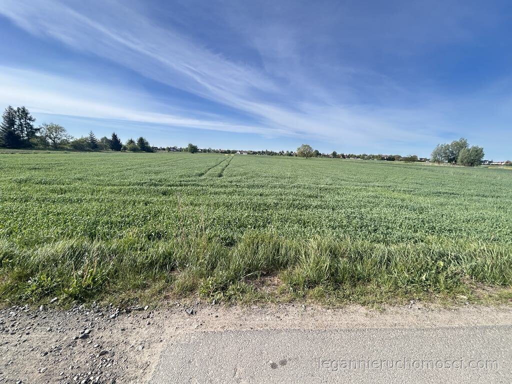 Działka, Gorzów Wielkopolski, Siedlice