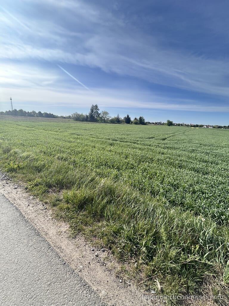Działka, Gorzów Wielkopolski, Siedlice