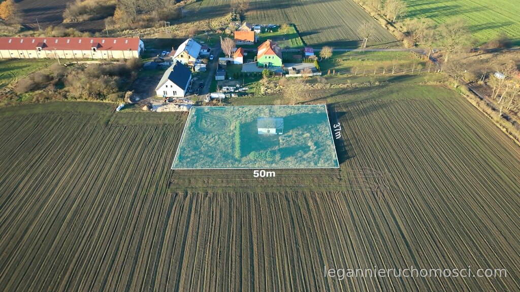 Działka, Warcin