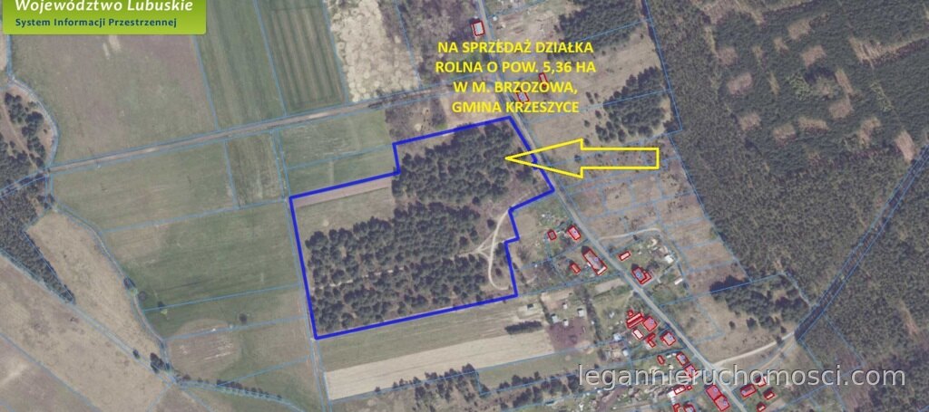 Działka, Brzozowa