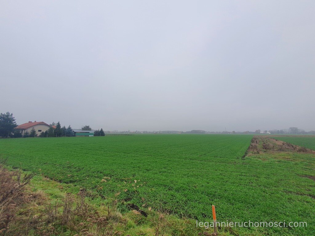 Działka, Gorzów Wielkopolski, Siedlice