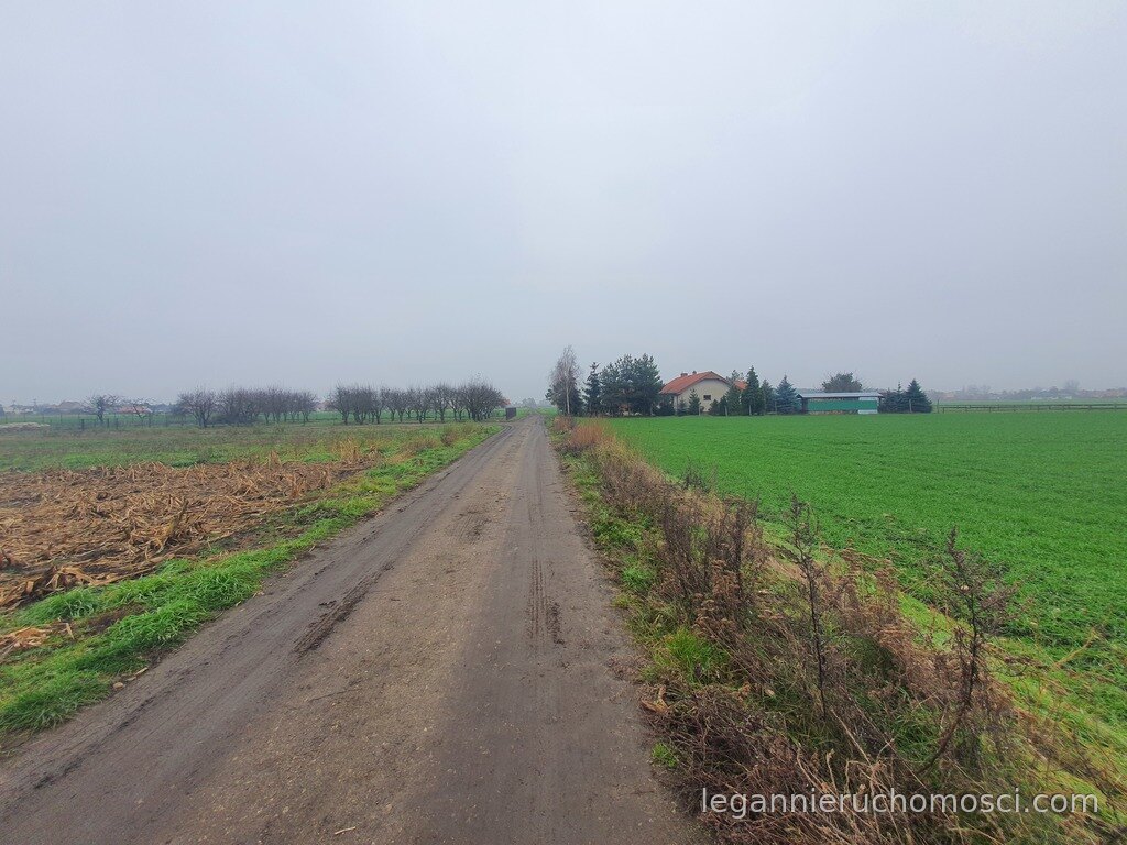 Działka, Gorzów Wielkopolski, Siedlice