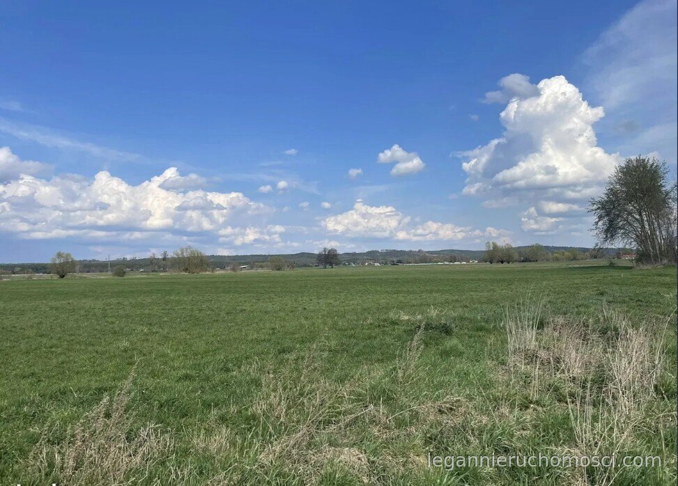 Działka, Pyrzany