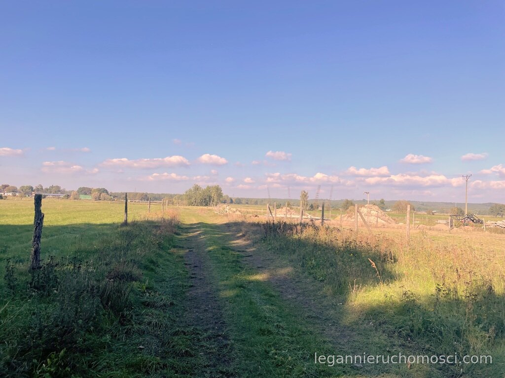 Działka, Pyrzany