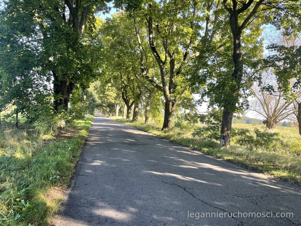 Działka, Pyrzany