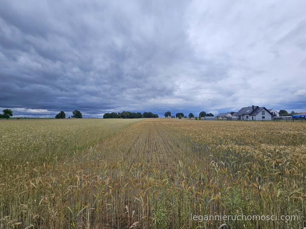 Działka, Wojcieszyce