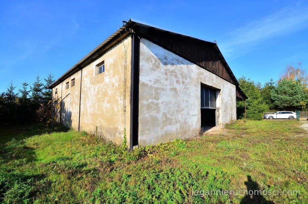 Obiekt komercyjny na wynajem, 300,00 m², Kłodawa