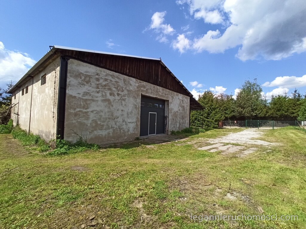 Obiekt komercyjny na wynajem, 300,00 m², Kłodawa