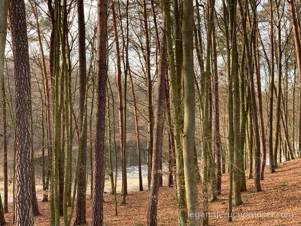 Działka, 30,00 m², Sosny