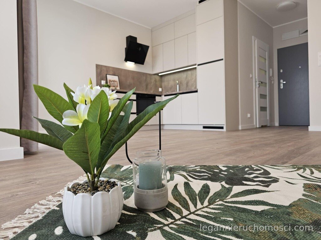 1-pokojowe mieszkanie, 30,79 m², Słubice